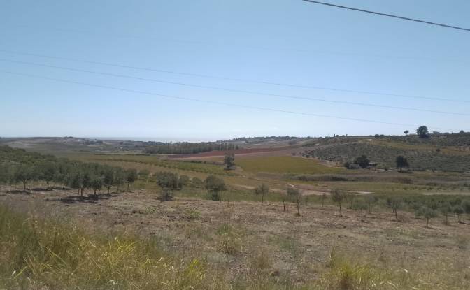 Grondperceel Te koop SP79, 92013 Menfi AG, Menfi. Foto#3