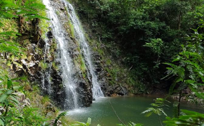 Farm/Ranch for Sale - Sao Joao d'Alianca, Brazil