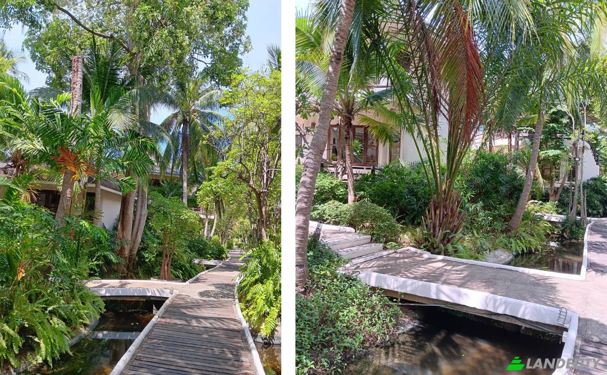 Investing/Development for Sale Tambon Pak Nam Pran, Amphoe Pran Buri, Chang Wat Prachuap Khiri Khan 77220, Pak Nam Pran, Pran Buri District, Prachuap Khiri Khan, Thailand. Photo 5