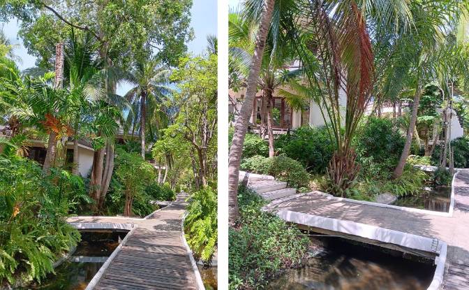 Investing/Development for Sale Tambon Pak Nam Pran. Photo#5 Investing/Development for Sale Tambon Pak Nam Pran. Photo#5