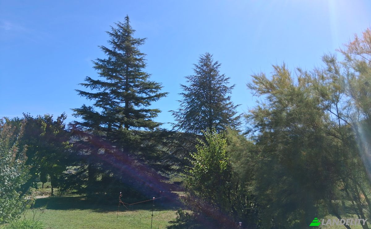 Villa for Sale 30 Chem de Paresous, 04200 Sisteron, Sisteron, Alpes-de-Haute-Provence, Provence-Alpes-Cote dAzur, France. Photo 4