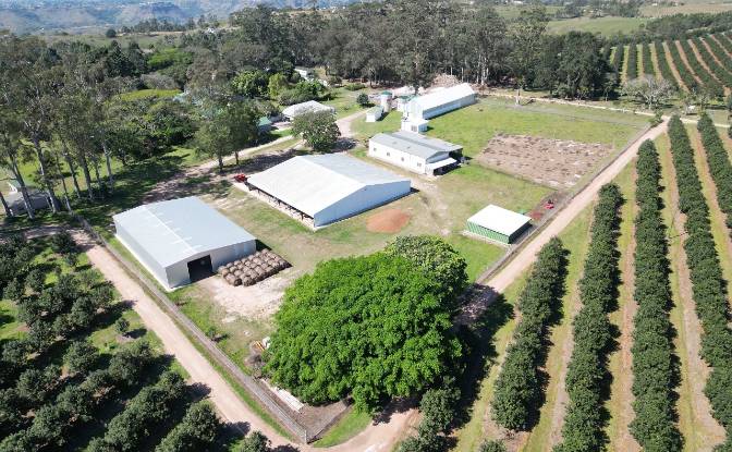 Business for Sale - Nsimbini, South Africa