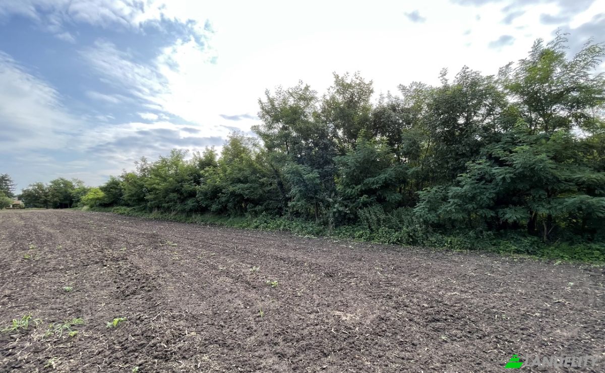 Land Lot for Sale Szakony, Sopron–Fertod, Gyor-Moson-Sopron, Hungary, Fo u 150, 9474 Hungary. Photo 2