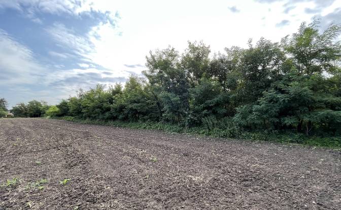 Land Lot for Sale Szakony, Sopron–Fertod. Photo#2 Land Lot for Sale Szakony, Sopron–Fertod. Photo#2