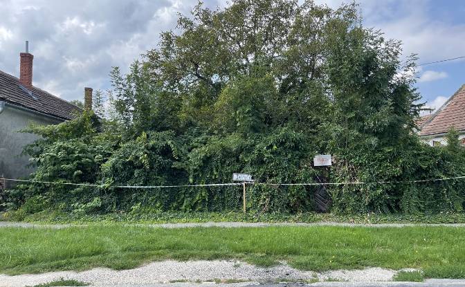 Land Lot for Sale Szakony, Sopron–Fertod. Photo#3 Land Lot for Sale Szakony, Sopron–Fertod. Photo#3