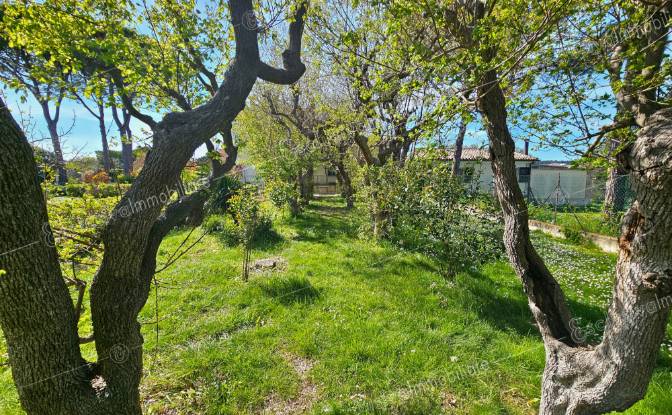 Villa for Sale Via Dante Alighieri, 157. Photo#24