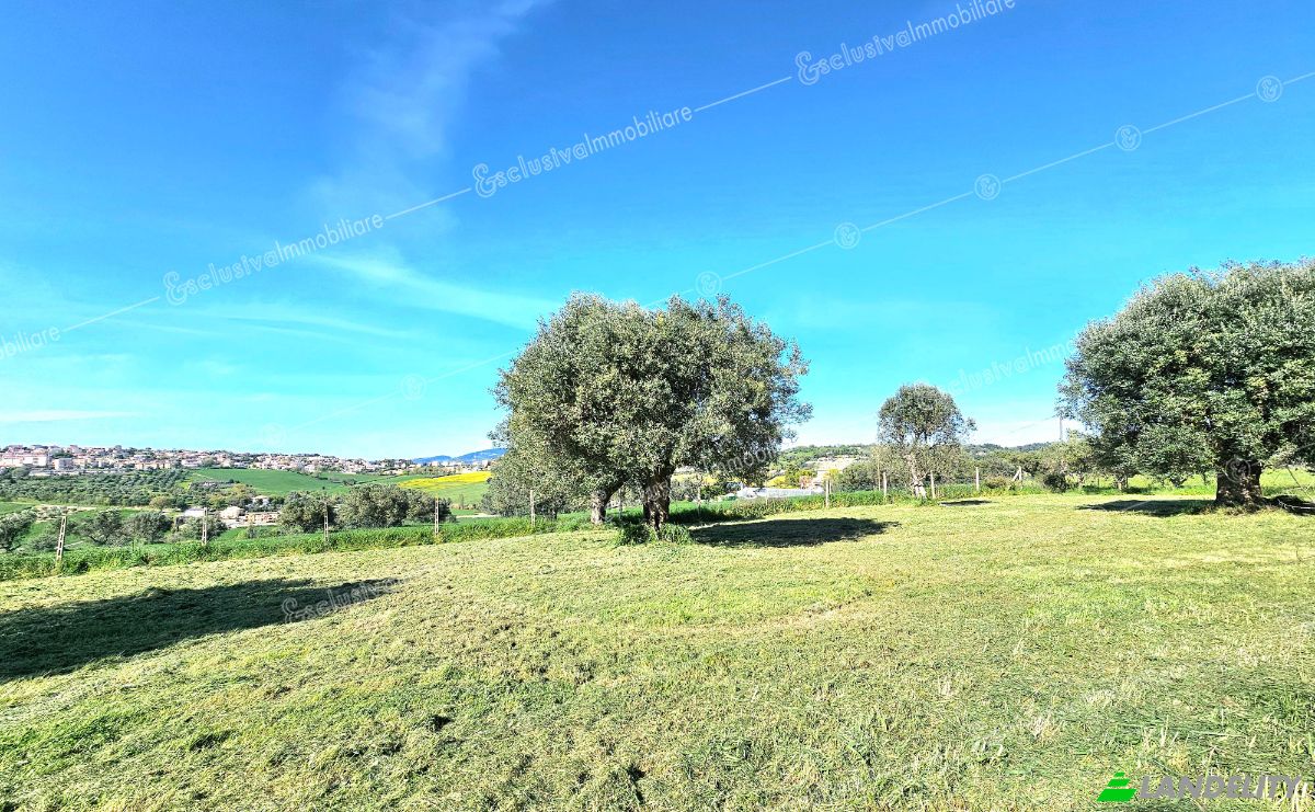 Villa for Sale Via Dante Alighieri, 157, 60022 Castelfidardo AN, Castelfidardo, Province of Ancona, Marche, Italy. Photo 7