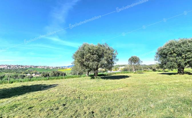 Villa for Sale Via Dante Alighieri, 157. Photo#7