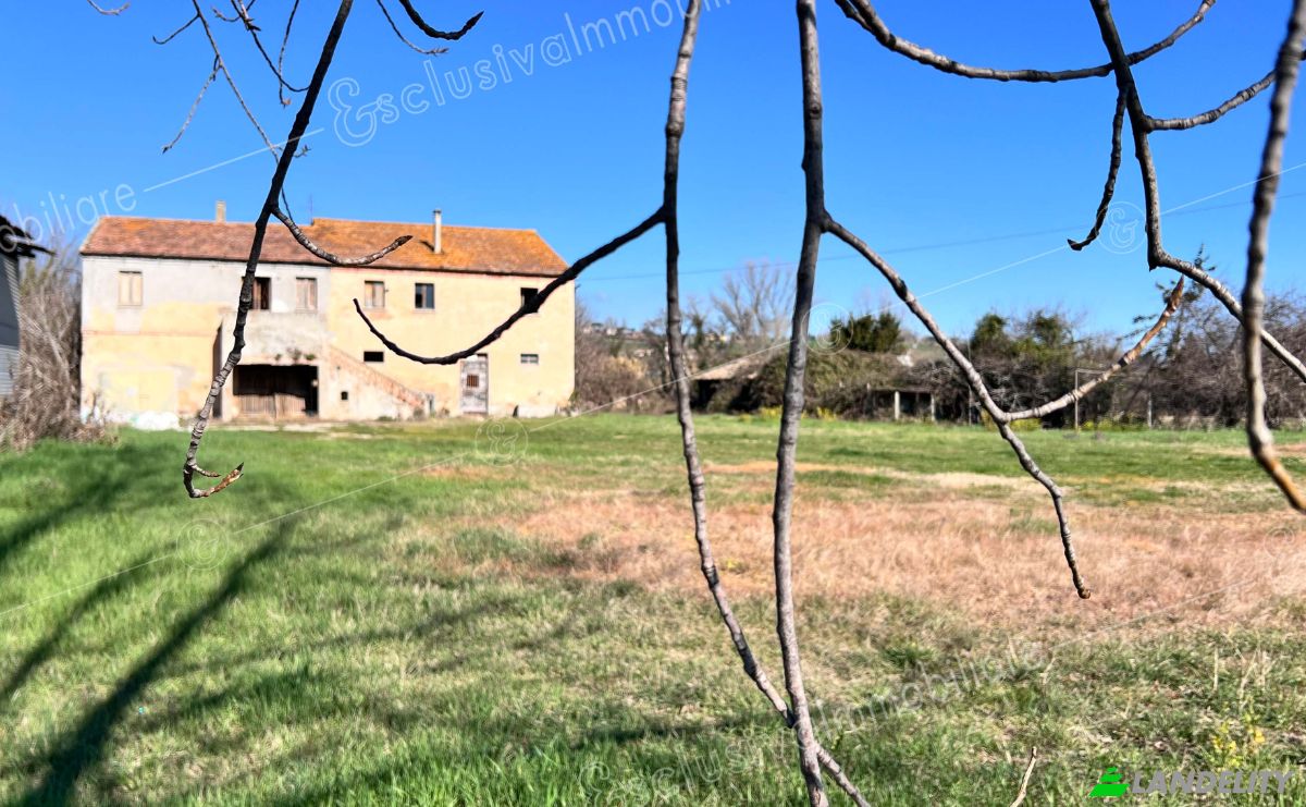Boerderij/Ranch Te koop Contrada Squartabue, 60022 Castelfidardo AN, Castelfidardo, Province of Ancona, Marche, Italy. Foto 8