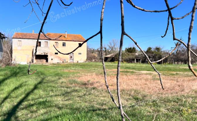 Boerderij/Ranch Te koop Contrada Squartabue. Foto#8