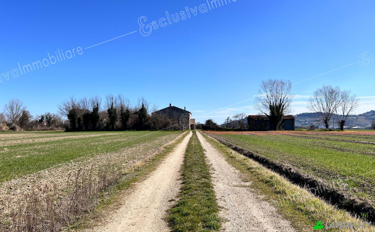 Boerderij/Ranch Te koop Contrada Squartabue, 60022 Castelfidardo AN, Castelfidardo, Province of Ancona, Marche, Italy. Foto 9