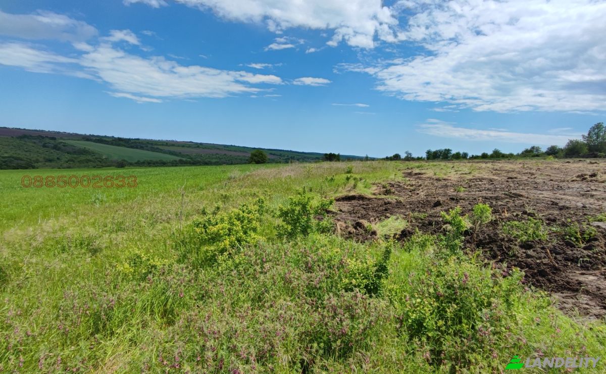 Land Lot for Sale Bolyartsi Airport, 9124 Bolyartsi, Bolyartsi, Avren, Varna, Bulgaria. Photo 1