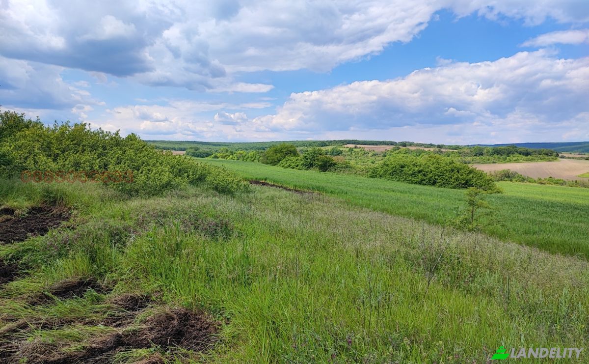 Land Lot for Sale Bolyartsi Airport, 9124 Bolyartsi, Bolyartsi, Avren, Varna, Bulgaria. Photo 2