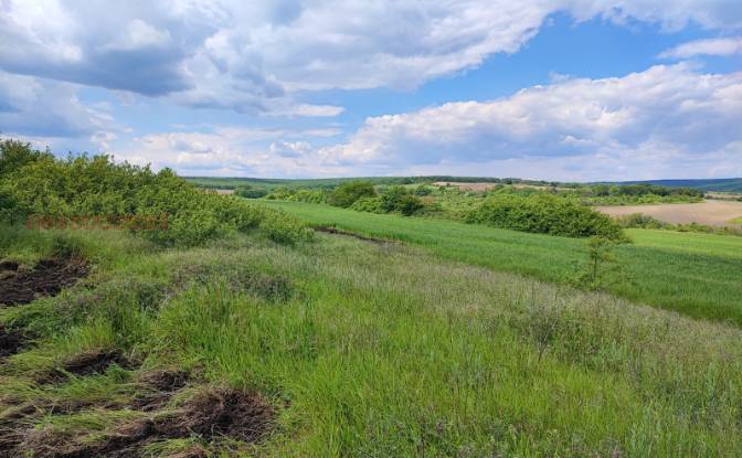 Land Lot for Sale Bolyartsi Airport. Photo#2 Land Lot for Sale Bolyartsi Airport. Photo#2