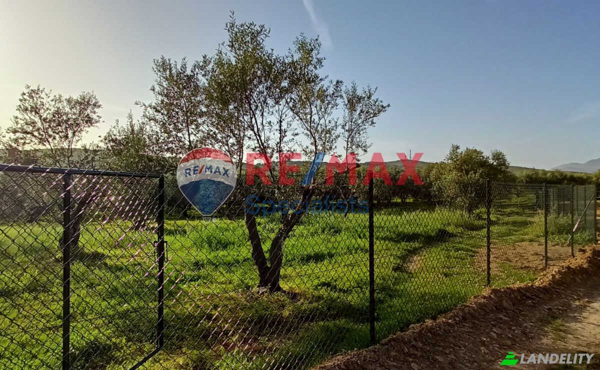 Lot de terrain à vendre EparOd Nochias-Episcopis, Platanias 730 06, Rodopos, Crete, Decentralized Administration of Crete, Greece. Photo 6