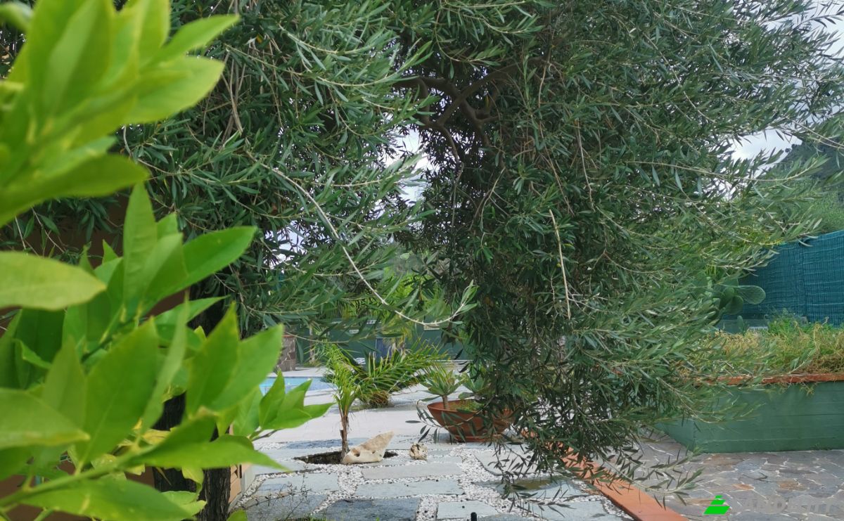 Villa for Sale Via Nasso, 90015 Cocuzzola PA, Cocuzzola, Metropolitan City of Palermo, Sicily, Italy. Photo 12