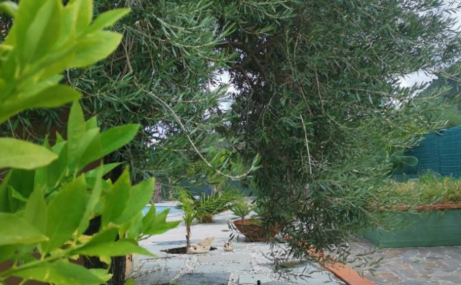 Villa for Sale Via Nasso, 90015 Cocuzzola PA. Photo#12 Villa for Sale Via Nasso, 90015 Cocuzzola PA. Photo#12
