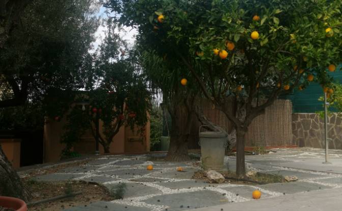 Villa for Sale Via Nasso, 90015 Cocuzzola PA. Photo#7 Villa for Sale Via Nasso, 90015 Cocuzzola PA. Photo#7