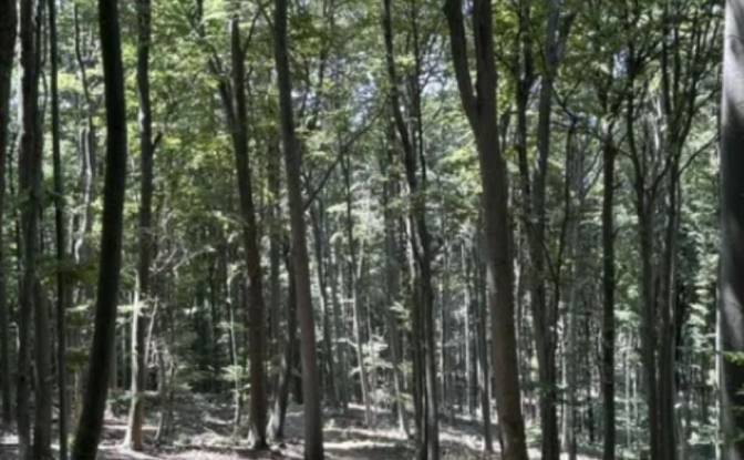 Investing/Development for Sale 31A, 47220. Photo#2