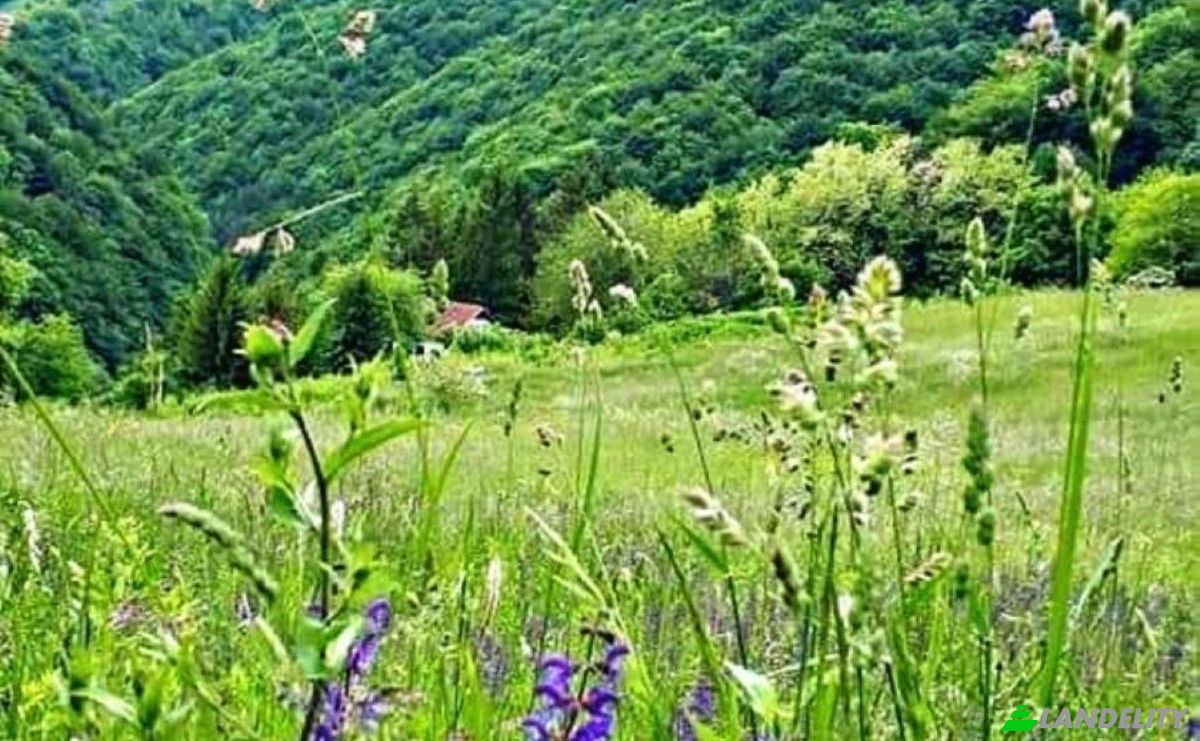 Investing/Development for Sale 31A, 47220, Miholjsko, Opcina Vojnic, Karlovac County, Croatia. Photo 4