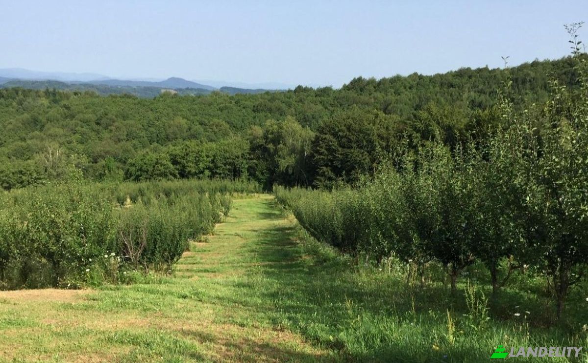 Investing/Development for Sale 31A, 47220, Miholjsko, Opcina Vojnic, Karlovac County, Croatia. Photo 5