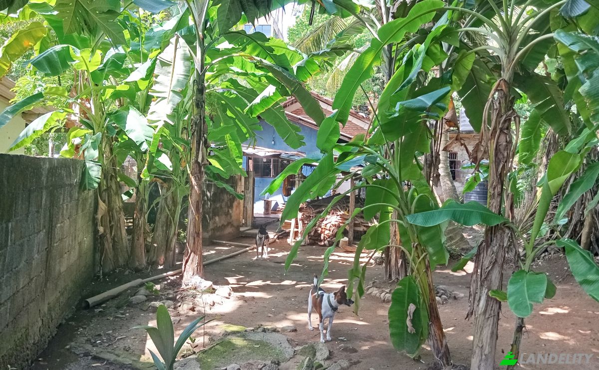 Eengezinswoning Te koop Mirissa, Matara, Southern Province, Sri Lanka. Foto 5