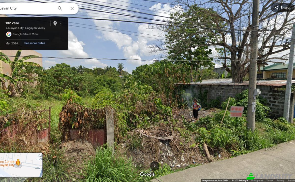 Investing/Development for Sale Cauayan City, Isabela, Cagayan Valley, Philippines. Photo 11