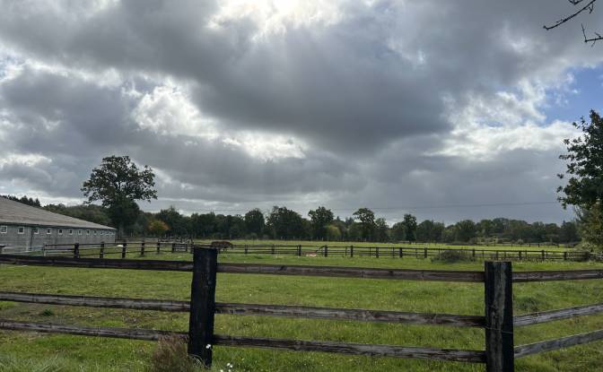 Farm/Ranch for Sale 9 Vervent, 61430 Berjou. Photo#4