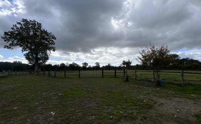Farm/Ranch for Sale 9 Vervent, 61430 Berjou. Photo#5