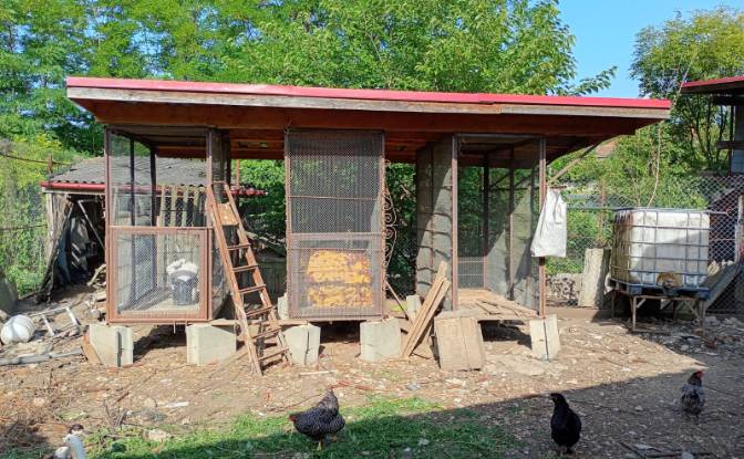 Fazenda/Rancho à venda DJ161G 175a. foto#8