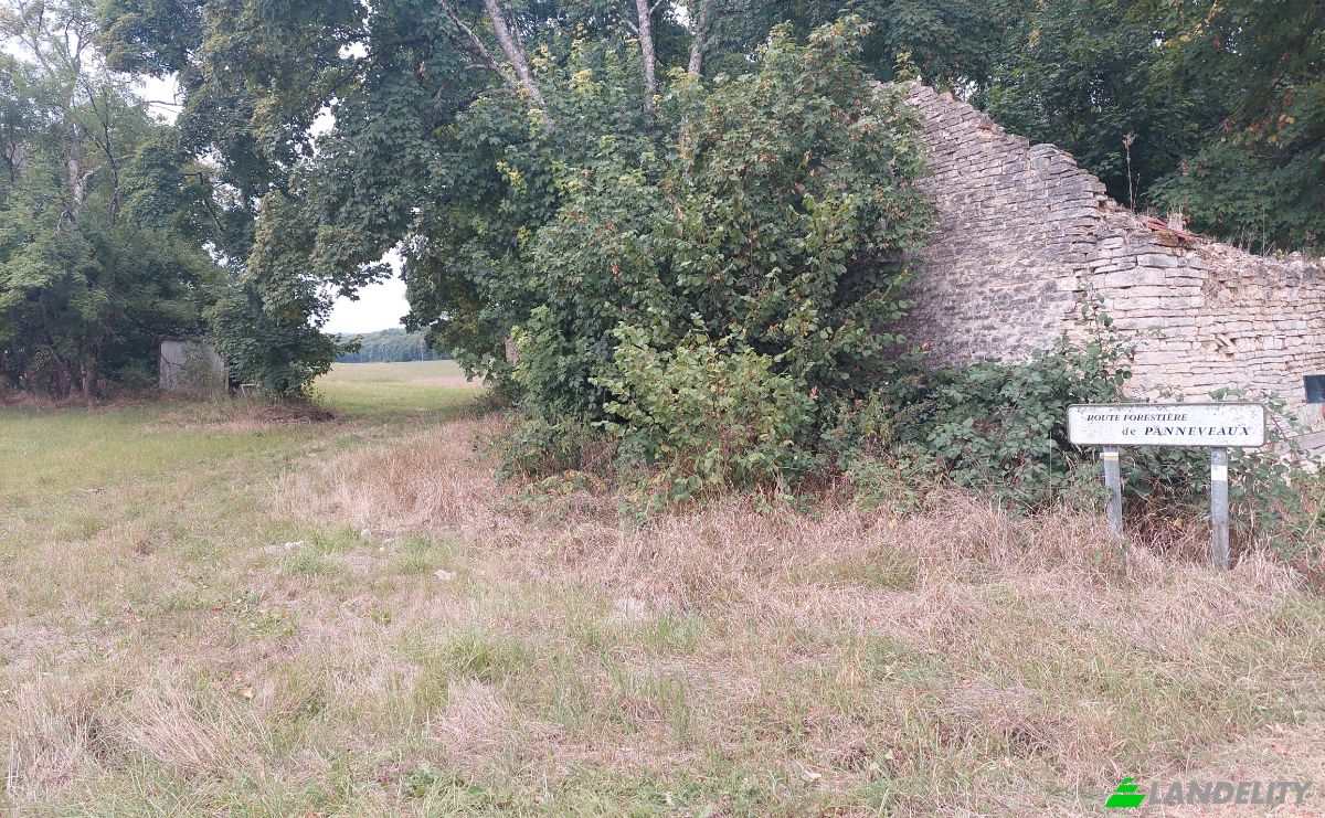 Boerderij/Ranch Te koop 19 Le Bas chemin de Verpillie, 10360 Cunfin, Cunfin, Aube, Grand Est, France. Foto 3