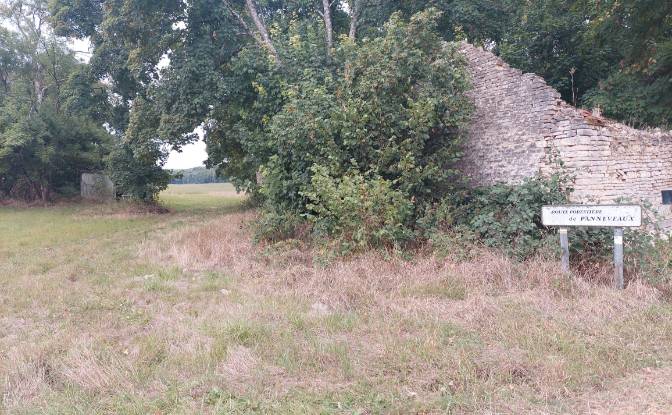 Boerderij/Ranch Te koop 19 Le Bas chemin de. Foto#3