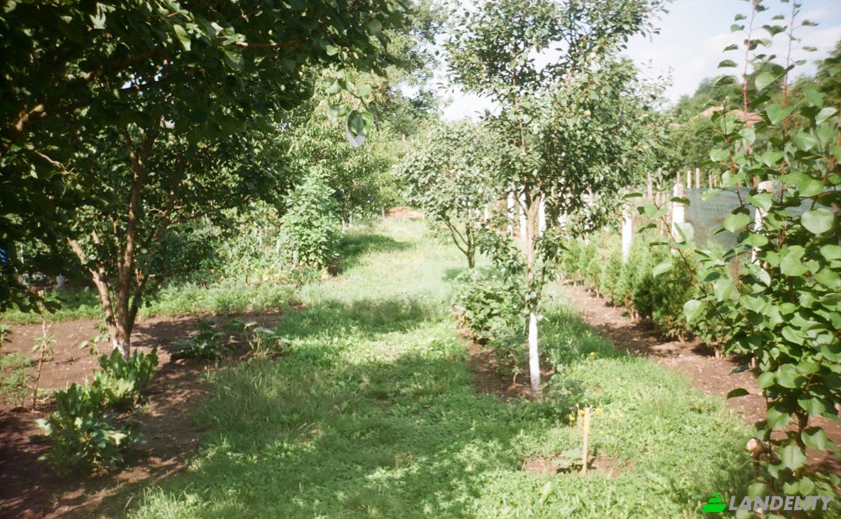 Single Family Home for Sale DJ107F 1096, Unirea 515700, Unirea, Alba County, Romania. Photo 13