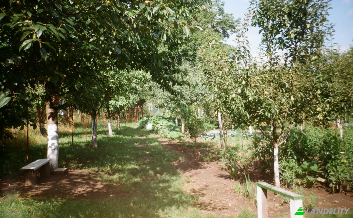 Single Family Home for Sale DJ107F 1096, Unirea 515700, Unirea, Alba County, Romania. Photo 14