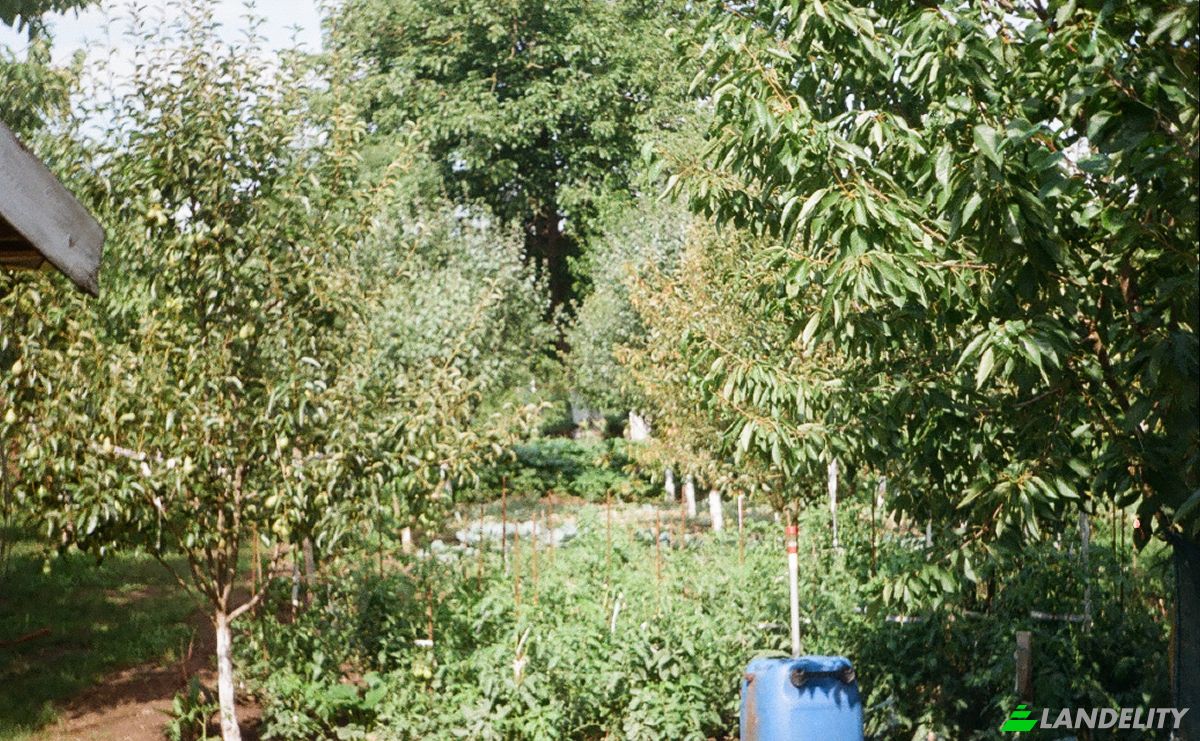 Single Family Home for Sale DJ107F 1096, Unirea 515700, Unirea, Alba County, Romania. Photo 15