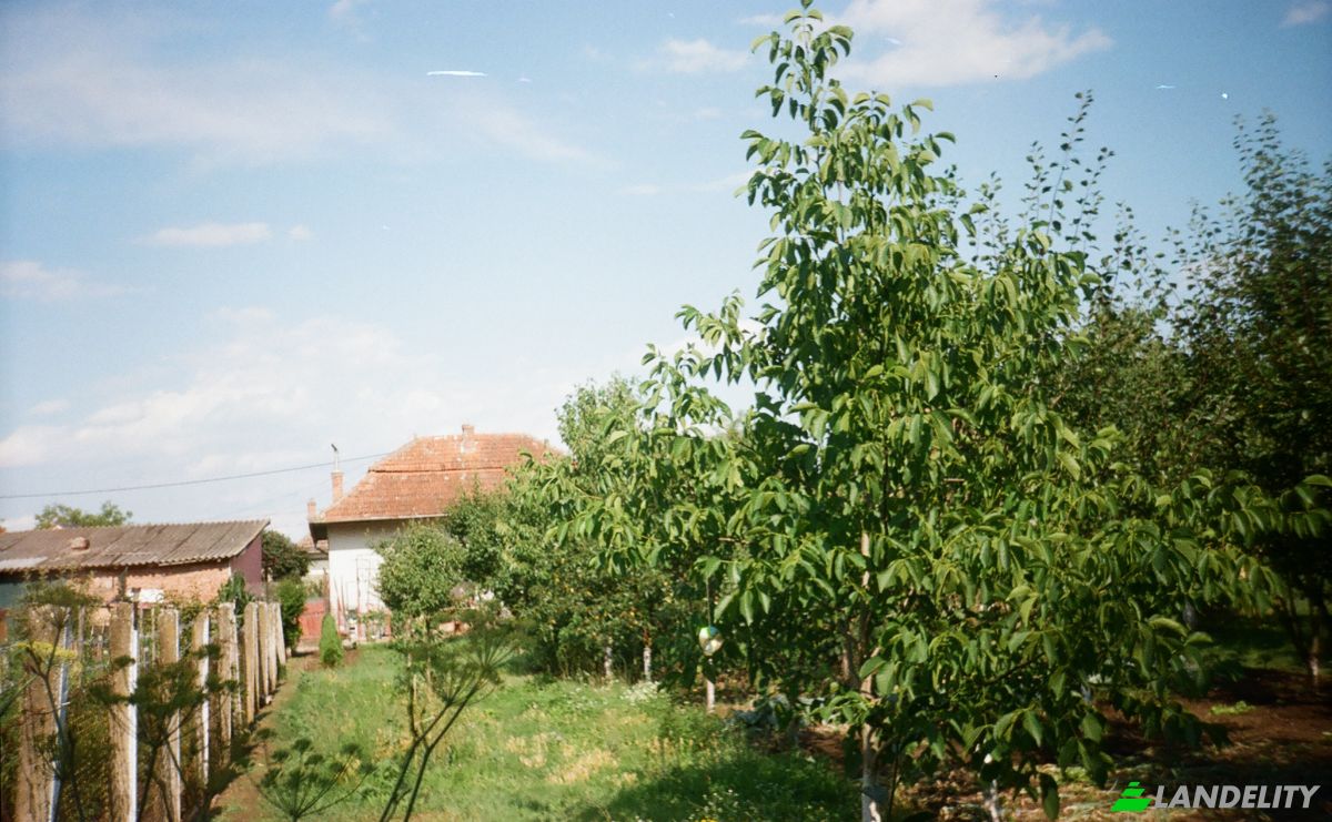 Single Family Home for Sale DJ107F 1096, Unirea 515700, Unirea, Alba County, Romania. Photo 18