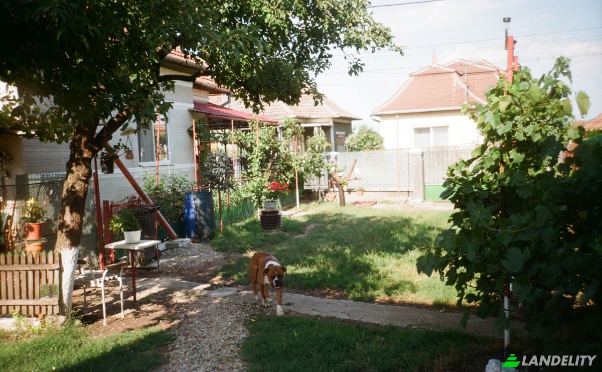 Single Family Home for Sale DJ107F 1096, Unirea 515700, Unirea, Alba County, Romania. Photo 21