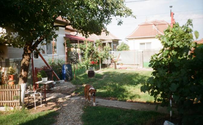 Single Family Home for Sale DJ107F 1096. Photo#21
