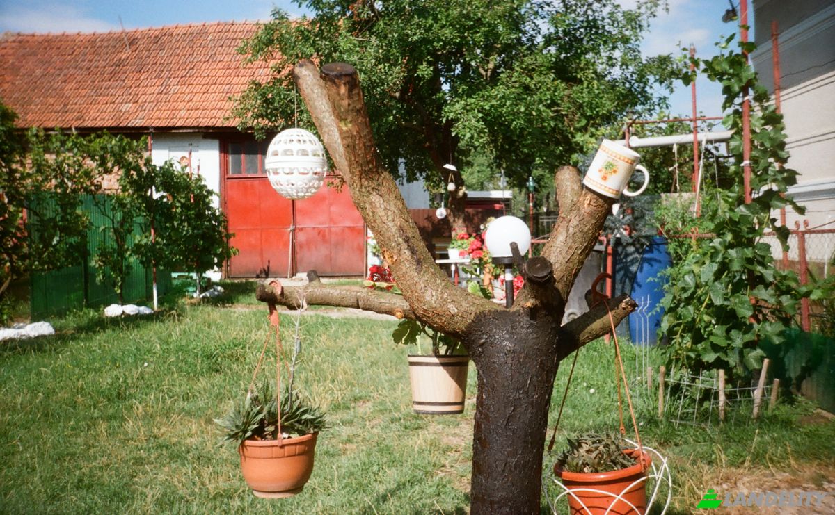 Single Family Home for Sale DJ107F 1096, Unirea 515700, Unirea, Alba County, Romania. Photo 8