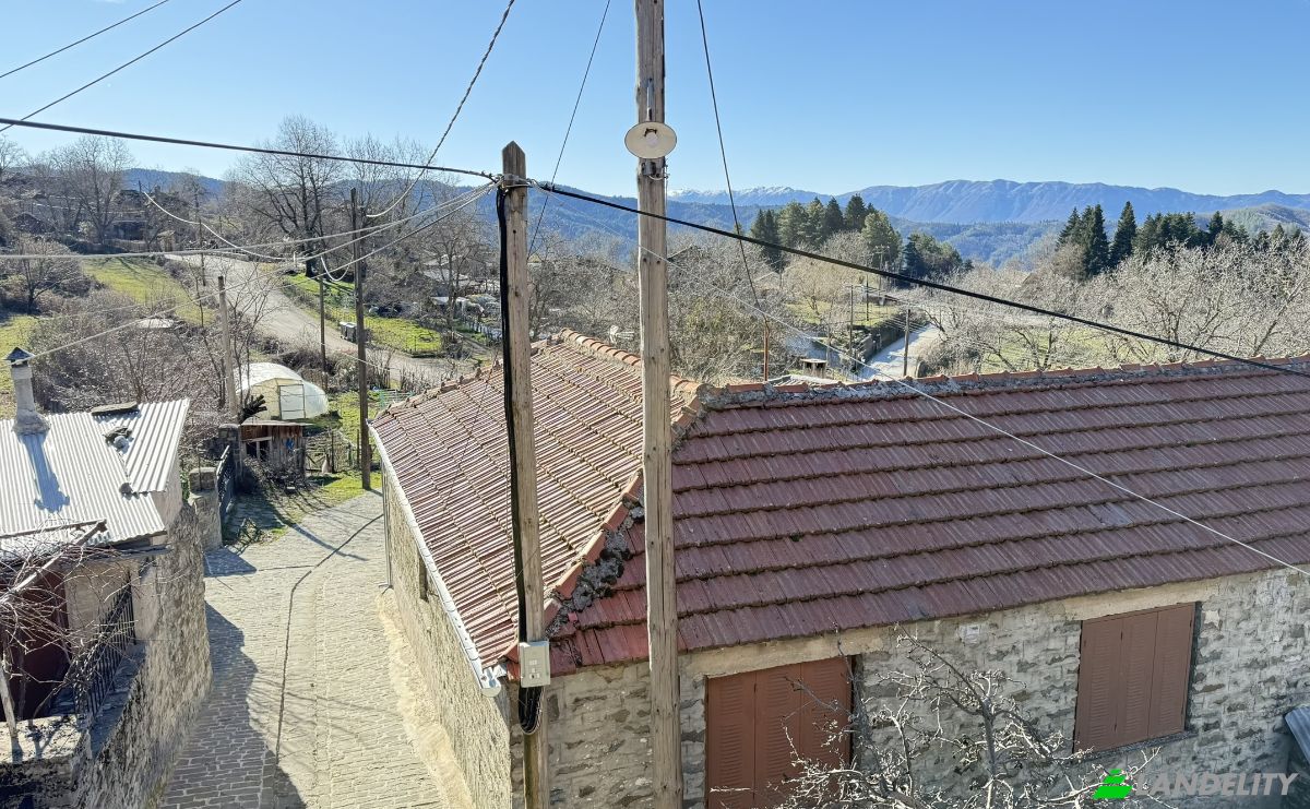 Duplex for Sale EparOd Asfaka, Vrisochoriou, Tsepelovo 440 10, Tsepelovo, Epirus, Decentralized Administration of Epirus and Western Macedonia, Greece. Photo 21