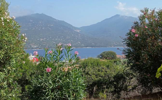 Apartment for Sale 22 A Paratella, 20110 Propriano. Photo#17 Apartment for Sale 22 A Paratella, 20110 Propriano. Photo#17