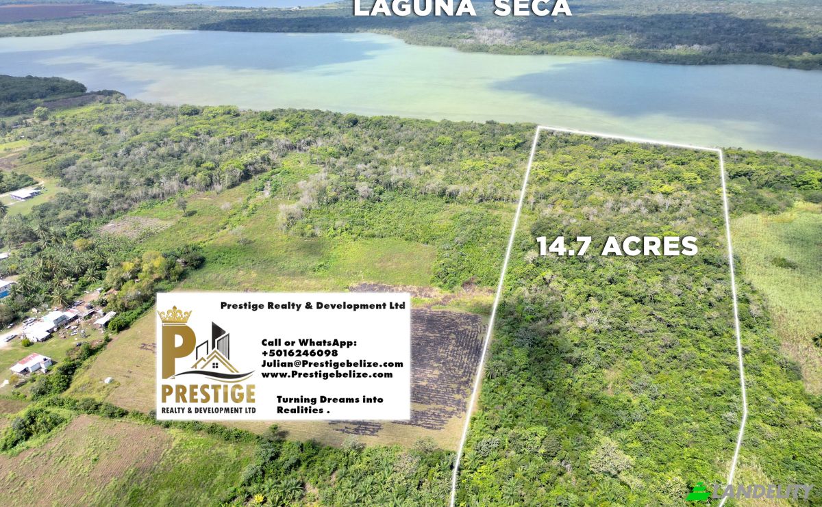 Land Lot for Sale Chunox, Corozal District, Belize. Photo 2