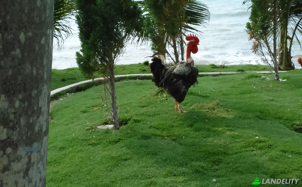 Single Family Home for Sale Crucita, Portoviejo Canton, Manabi, Ecuador. Photo 16