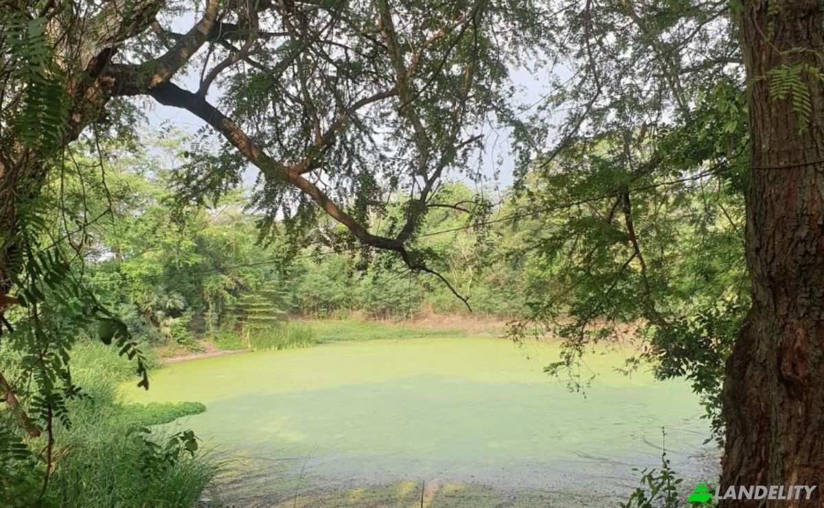 Negocio en venta Phahonyothin Rd, Tambon Huai Bong, Amphoe Chaloem Phra Kiat, Chang Wat Saraburi 18000, Huai Bong, Chaloem Phra Kiat District, Saraburi, Thailand. Foto 6
