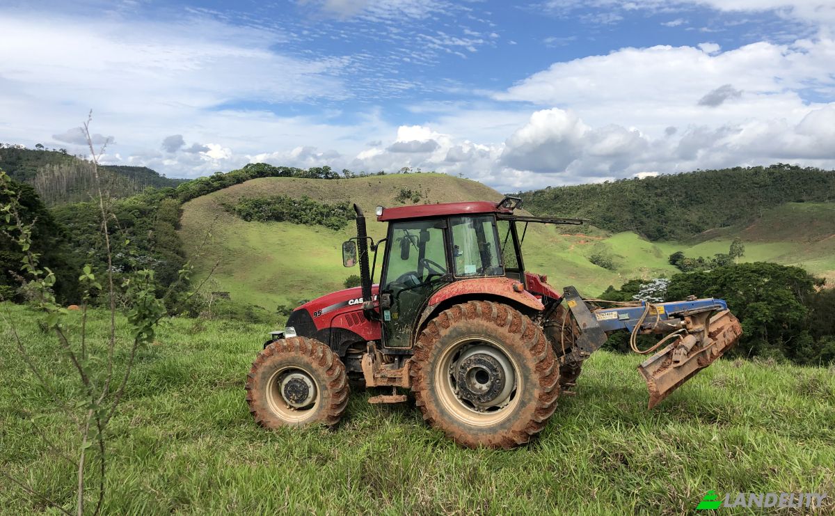 Farm/Ranch for Sale Porto Firme - State of Minas Gerais, Porto Firme, State of Minas Gerais, Brazil, 36576-000. Photo 2