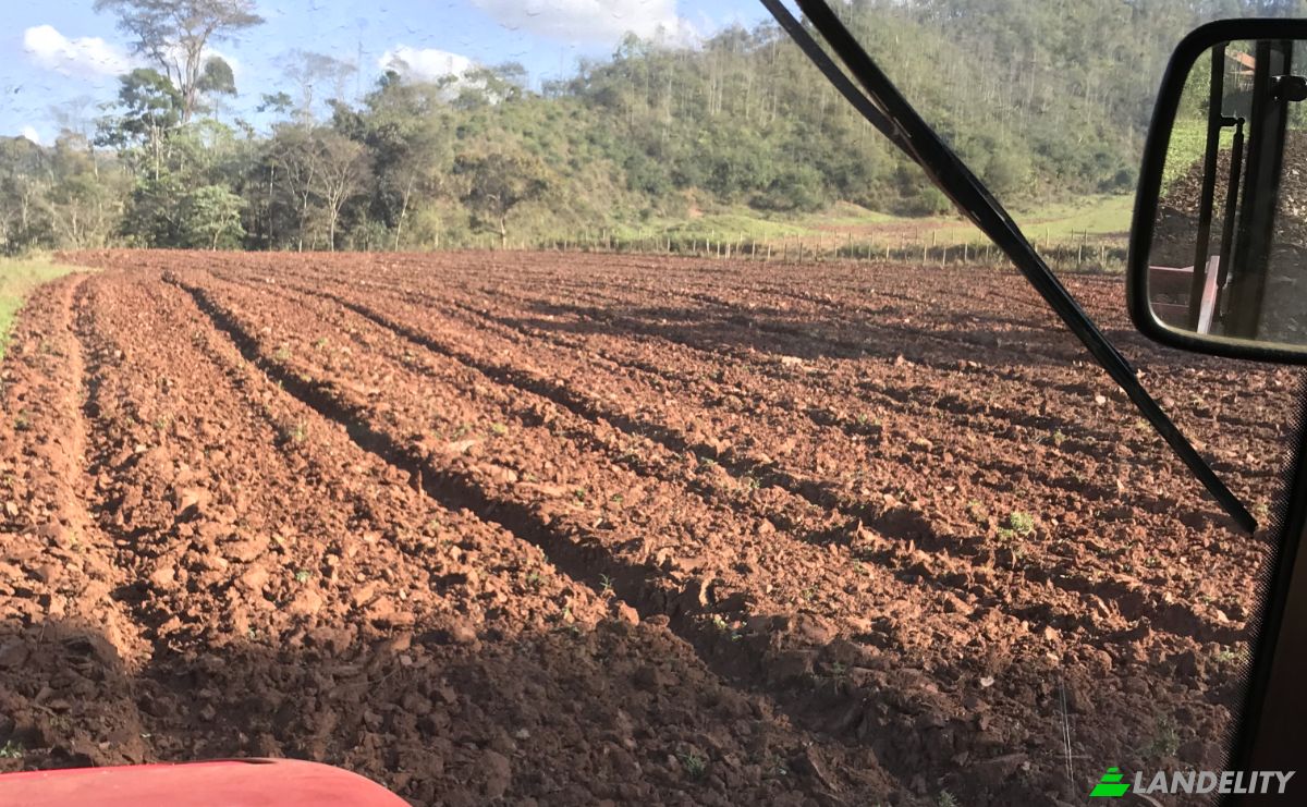 Farm/Ranch for Sale Porto Firme - State of Minas Gerais, Porto Firme, State of Minas Gerais, Brazil, 36576-000. Photo 5