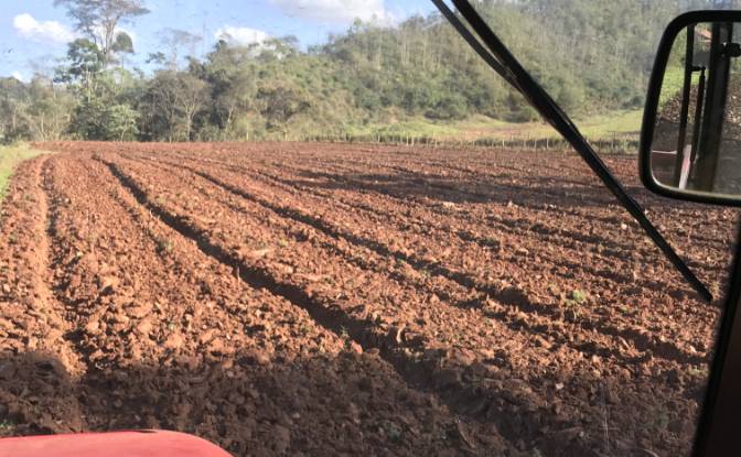 Farm/Ranch for Sale Porto Firme - State of Minas. Photo#5