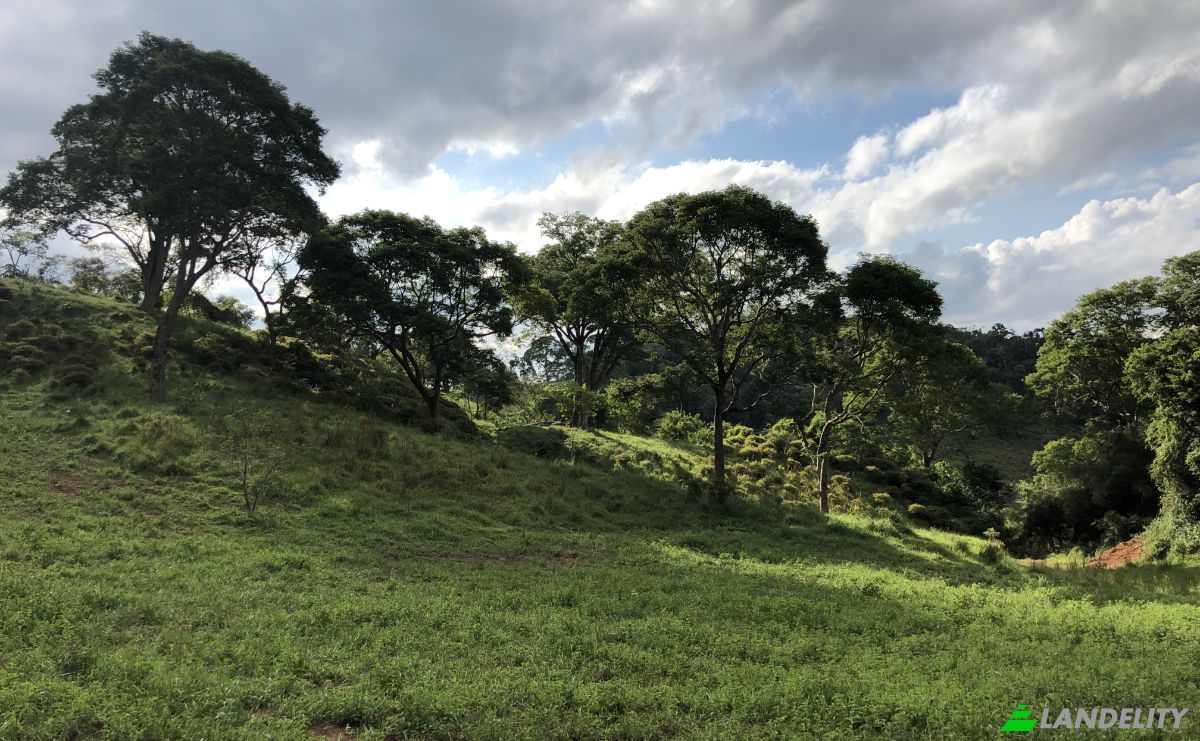 Farm/Ranch for Sale Porto Firme - State of Minas Gerais, Porto Firme, State of Minas Gerais, Brazil, 36576-000. Photo 1
