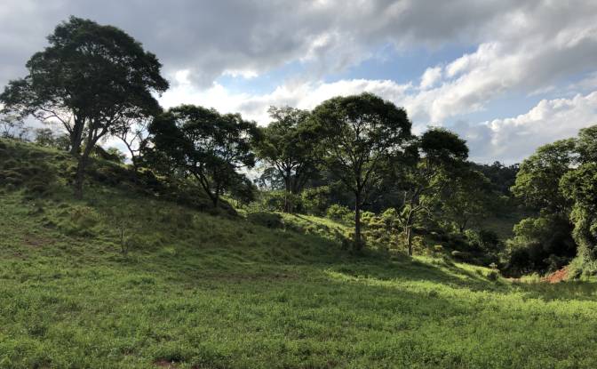 Farm/Ranch for Sale - Porto Firme - State of Minas Gerais, Brazil