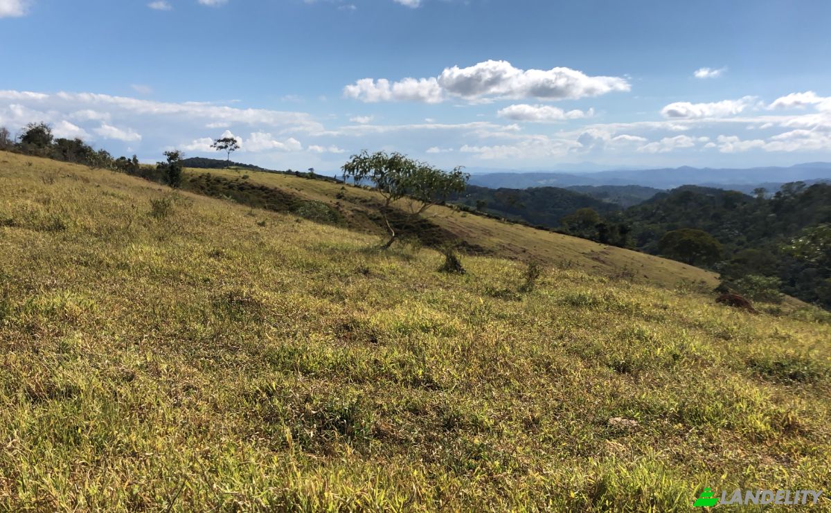 Farm/Ranch for Sale Porto Firme - State of Minas Gerais, Porto Firme, State of Minas Gerais, Brazil, 36576-000. Photo 9